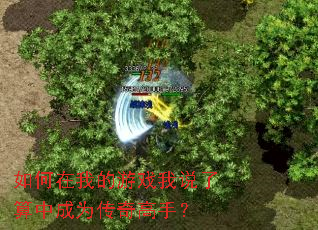 如何在我的游戏我说了算中成为传奇高手? 如何在我的游戏我说了算中成为传奇高手?
