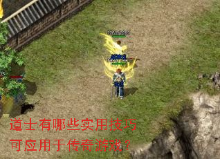 ��ʿ����Щʵ�ü��ɿ�Ӧ���ڴ�����Ϸ��
