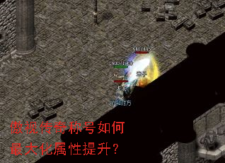 ���Ӵ���ƺ�����������������