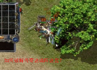 ����ƽ⴫���Ի����Թ���