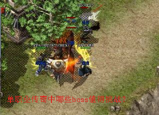 ��ְҵ��������Щbossֵ����ս��
