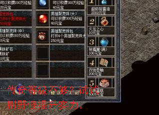 传奇等级不够?试试刷野怪提升实力。 传奇等级不够?试试刷野怪提升实力。