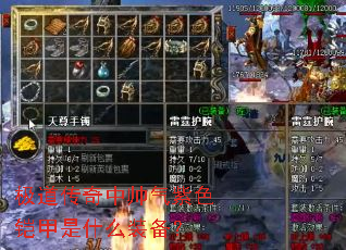 极道传奇中帅气紫色铠甲是什么装备? 极道传奇中帅气紫色铠甲是什么装备?