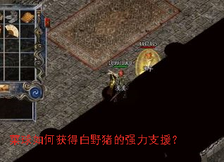 ������λ�ð�Ұ����ǿ��֧Ԯ��