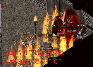 ��Ѫ�����ֻ��澫Ӣ��ˢ��ʱ�̱��������ģ�
