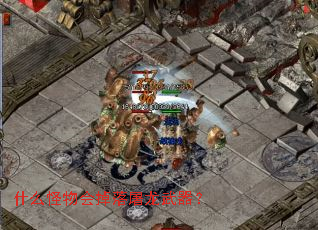 什么怪物会掉落屠龙武器? 什么怪物会掉落屠龙武器?