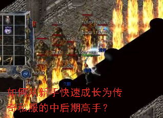 ��δ����ֿ��ٳɳ�Ϊ����˽�����к��ڸ��֣�