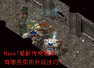 Haosf���´���汾����Щʵ���������ɣ�