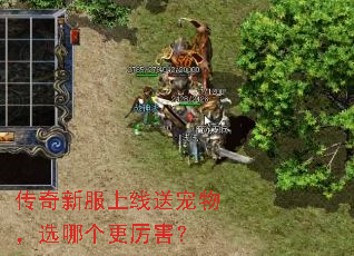 �����·������ͳ��ѡ�ĸ���������
