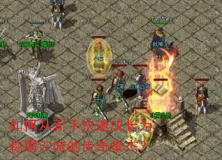 ��δ����ֿ��ٳɳ�Ϊ�ư�ɳ�ǵĴ�����ܣ�
