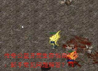 ���湫�濪������ָ�ϣ����ֳ���������