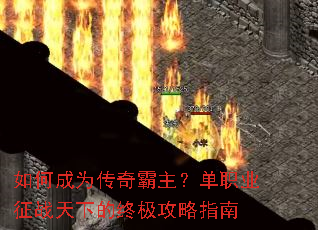 ��γ�Ϊ�����������ְҵ��ս���µ��ռ�����ָ��