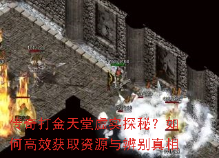 ������������ʵ̽�أ���θ�Ч��ȡ��Դ��������