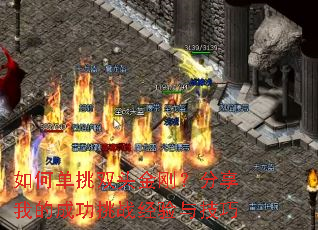 ��ε���˫ͷ��գ������ҵĳɹ���ս�����뼼��