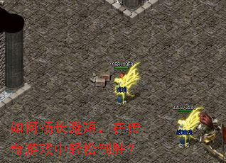 如何扬长避短,在传奇游戏中轻松制胜? 如何扬长避短,在传奇游戏中轻松制胜?