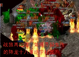 ս���ٳ��������Ѱ��ʧ���Ľ���ʮ���ƾ�ѧ���ţ�