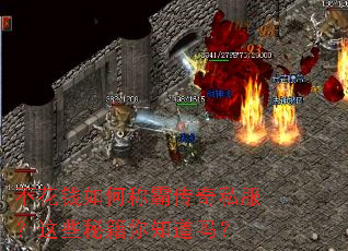 ����Ǯ��γưԴ���˽������Щ�ؼ���֪����