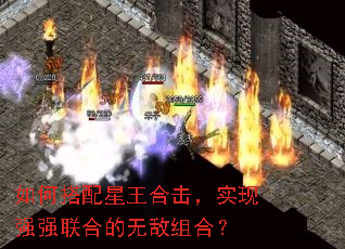 如何搭配星王合击,实现强强联合的无敌组合? 如何搭配星王合击,实现强强联合的无敌组合?