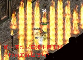 ���ʵ��˫������������ɱBoss���ռ����ɣ�