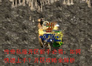 传奇私服开区新手必看:如何快速上手?开区攻略全解析 传奇私服开区新手必看:如何快速上手?开区攻略全解析