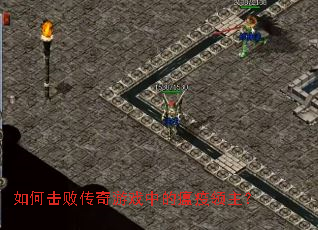 如何击败传奇游戏中的瘟疫领主? 如何击败传奇游戏中的瘟疫领主?