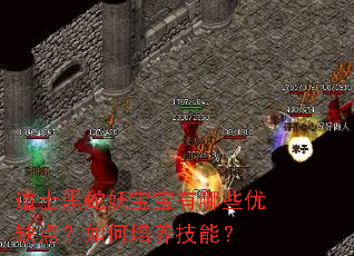 ��ʿ��������������Щ��ȱ�㣿����������ܣ�