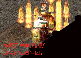 ����ٻ�Ѫ�����ò�����������ţ�