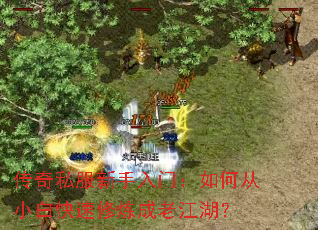 传奇私服新手入门:如何从小白快速修炼成老江湖? 传奇私服新手入门:如何从小白快速修炼成老江湖?