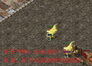 新开传奇1.85合成与1.80新服,新手玩家如何快速成长? 新开传奇1.85合成与1.80新服,新手玩家如何快速成长?