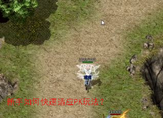 新手如何快速适应PK玩法? 新手如何快速适应PK玩法?
