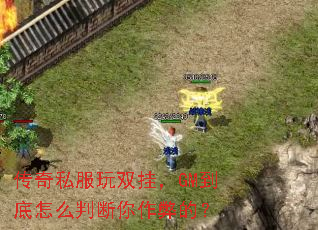 ����˽����˫�ң�GM������ô�ж������׵ģ�