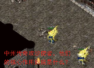 ���ݴ��湥ɳʹ�ߣ����ǵĺ������õ�����ʲô��