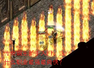 ��������������ţ�ѡʲôְҵ��ǿ��ˬ�죿