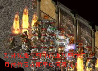 �¿�˽����������Ѫ����ӥ������λ�����������Ѱ�ң�