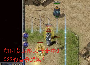 ��λ�ȡ��紫����BOSS����ɱ������
