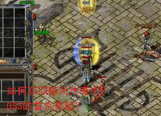 ��λ�ȡ��紫����BOSS����ɱ������