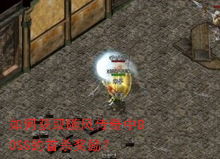 ��λ�ȡ��紫����BOSS����ɱ������