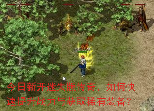 �����¿���ʧ�洫�棬��ο�������ս�����ȡϡ��װ����