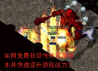�����ѻ�ȡ����˽���ű�������������Ϸս����