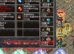 未知暗殿的鸡究竟从何而来?探寻神秘刷新机制 未知暗殿的鸡究竟从何而来?探寻神秘刷新机制