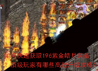 如何快速获取196紫金皓月装备?顶级玩家有哪些高效升级攻略? 如何快速获取196紫金皓月装备?顶级玩家有哪些高效升级攻略?