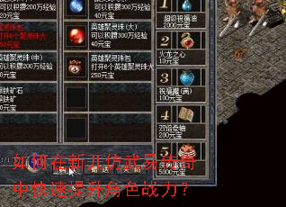 如何在新开仿武易传奇中快速提升角色战力? 如何在新开仿武易传奇中快速提升角色战力?