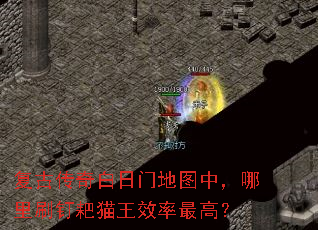 ���Ŵ�������ŵ�ͼ�У�����ˢ����è��Ч����ߣ�