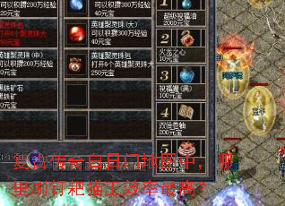 ���Ŵ�������ŵ�ͼ�У�����ˢ����è��Ч����ߣ�