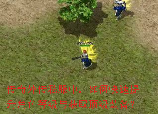 传奇外传私服中,如何快速提升角色等级与获取顶级装备? 传奇外传私服中,如何快速提升角色等级与获取顶级装备?