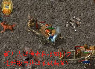 新开大型传奇私服如何快速升级与获取顶级装备? 新开大型传奇私服如何快速升级与获取顶级装备?