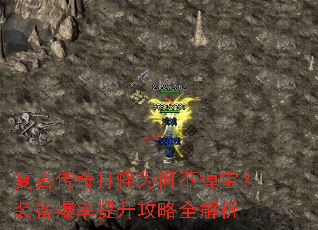 ���Ŵ�����Ϊ�β�������װ��������������ȫ����