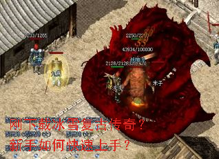 �����ر�ѩ���Ŵ��棿������ο������֣�