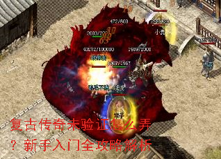 ���Ŵ���δ��֤��ôŪ����������ȫ���Խ���