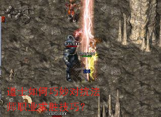 ��ʿ�������Կ���ʦְҵ��ʤ���ɣ�